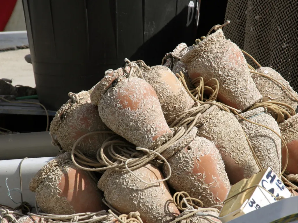 Traditional Japanese takotsubo octopus fishing pots, the wide rounded base and narrow neck mirror the shape of the left ventricle during a takotsubo episode