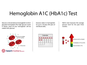 Understanding the HbA1c Blood Test: What It Reveals About Your Health Heart Matters