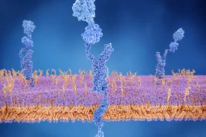 Cardiac Amyloidosis: An Uncommon but Important Cause of a 'Stiff' Heart Heart Matters