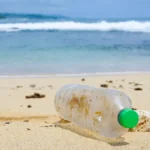 Microplastics and Your Heart: What a Landmark Study Tells Us