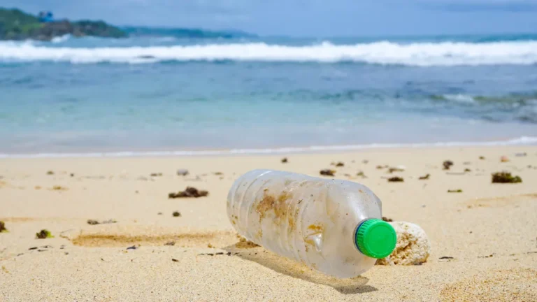 Microplastics and Your Heart: What a Landmark Study Tells Us