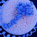 Lipoprotein(a) — The Inherited Heart Risk Most People Have Never Heard Of