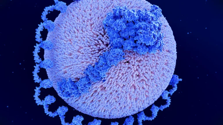 Lipoprotein(a) — The Inherited Heart Risk Most People Have Never Heard Of