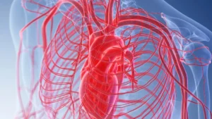 Aortic Dissection: The Chest Pain That Cannot Wait